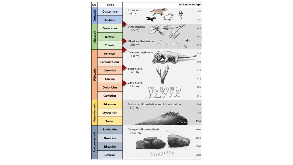 Evolution of Ecosystem Engineering behaviors timescale