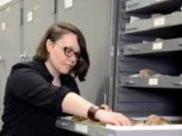 Dani Fraser looking at fossils