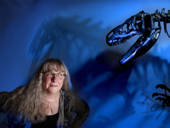 Kate Lyons eyeing an Allosaurus