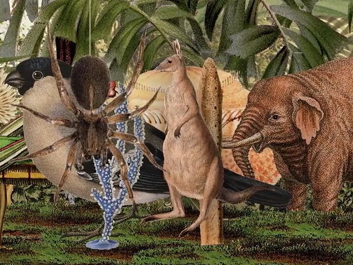 image of giant animals