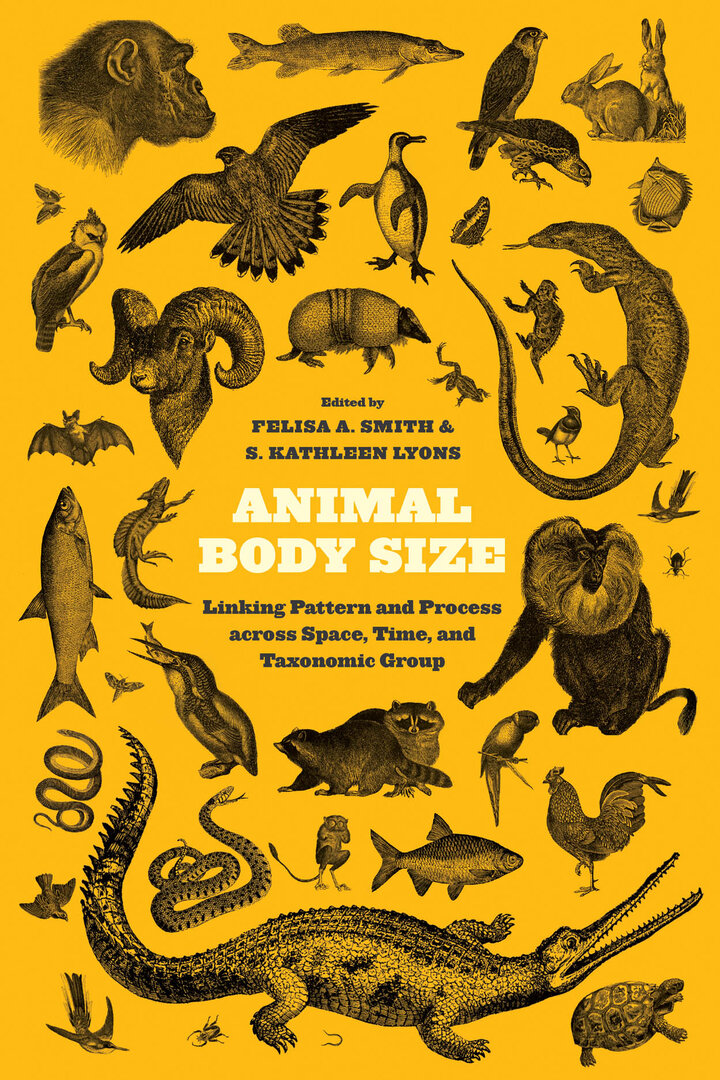 cover image of Animal Body Size