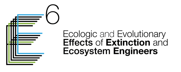 E6 logo